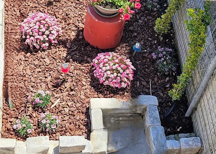 Semesterbostad Elia *